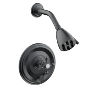Phylrich HEX TRADITIONAL Pressure Balance Shower and Diverter Set (Less Spout) 4-151 – Gun Metal