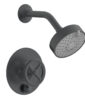 Phylrich WORKS Pressure Balance Shower and Diverter Set (Less Spout), Cross Handle 4-614 – Gun Metal