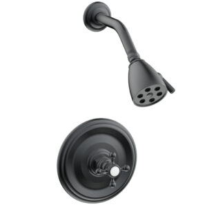 Phylrich HEX TRADITIONAL Pressure Balance Shower Set 500-21 – Gun Metal