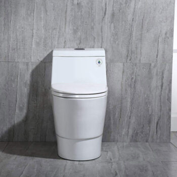 Dual Flush Elongated One Piece Toilet With Soft Closing Seat, Chair Height, Water Sense, High-Efficiency - Image 2
