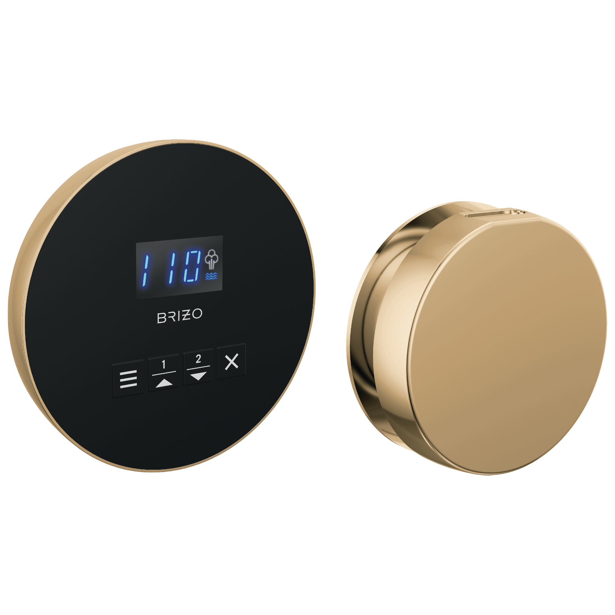 Brizo Other: Round Steam Set In Lumicoat® Polished Gold