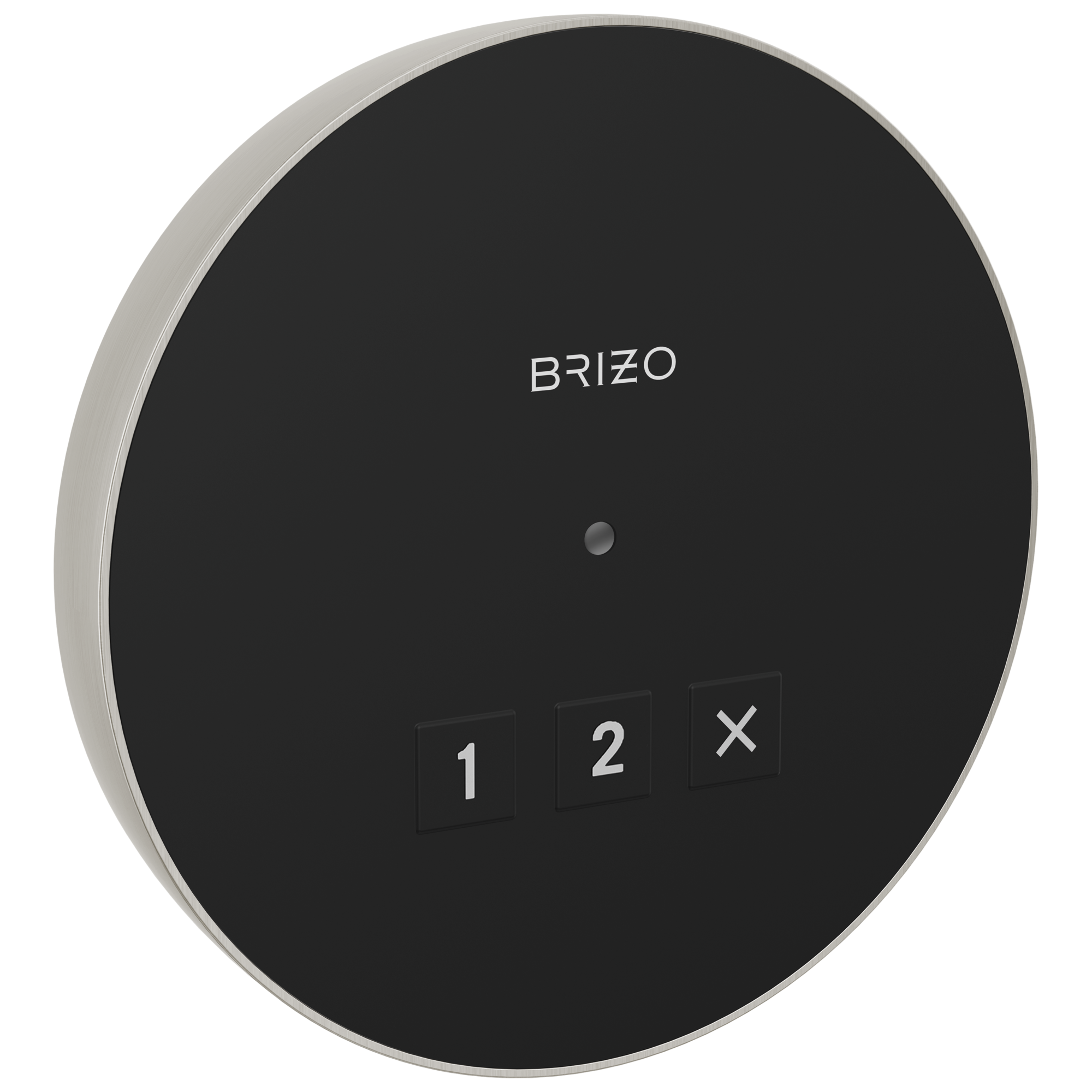 Brizo Other: Round Exterior Control In Lumicoat® Brushed Nickel