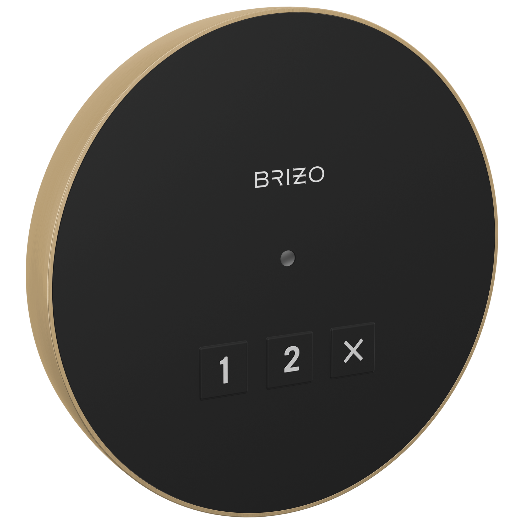 Brizo Other: Round Exterior Control In Lumicoat® Luxe Gold