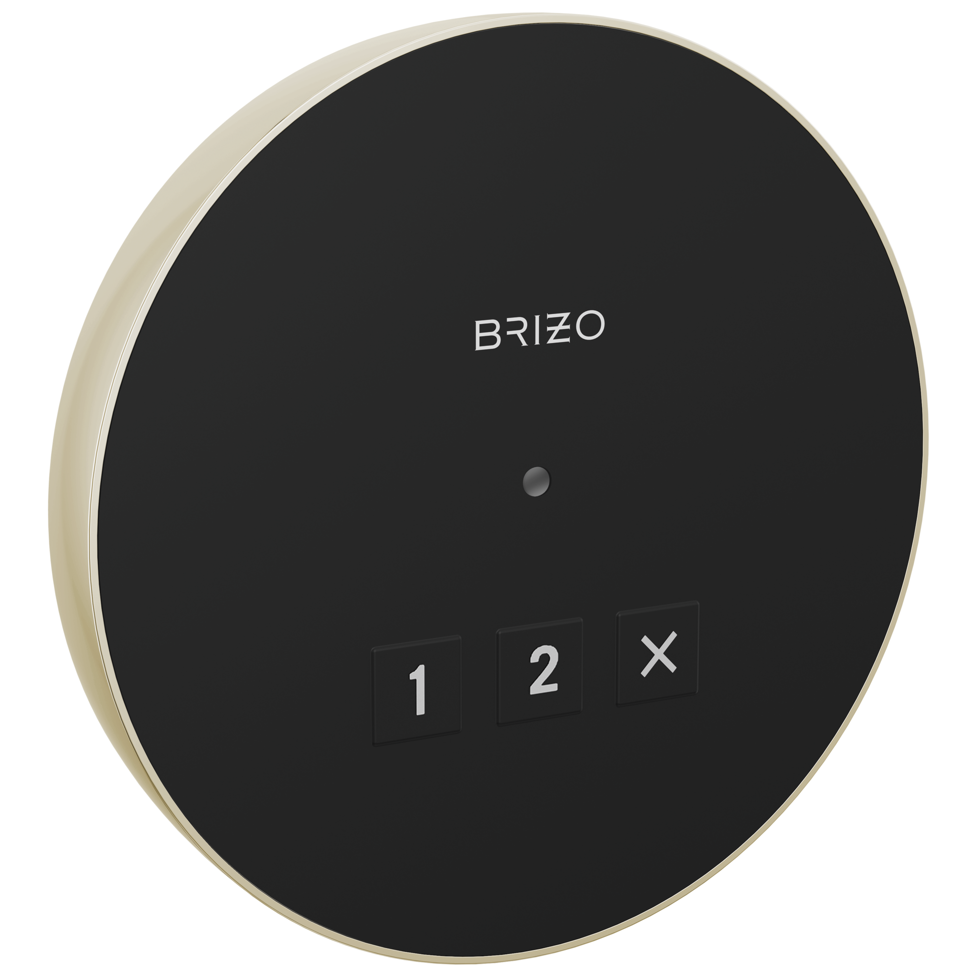 Brizo Other: Round Exterior Control In Lumicoat® Polished Nickel