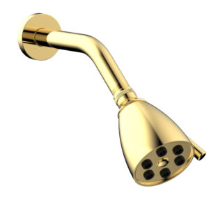 Phylrich 6 Jet BASIC 2-3/4″ Round Shower Head D830 – Polished Gold