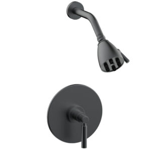 Phylrich BASIC Pressure Balance Shower Set – Lever Handle DPB3130 – Gun Metal