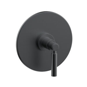 Phylrich BASIC Pressure Balance Shower Set Trim Only – Lever Handle DPB3130TO – Gun Metal