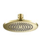 Isenberg 6″ Solid Brass Showerhead / Rainhead In Satin Brass