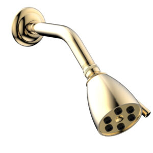 Phylrich 6 Jet Smooth Shower Head 2-3/4″ K803 – Satin Brass