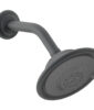 Phylrich Traditional Multi-Function Shower Head – Gun Metal