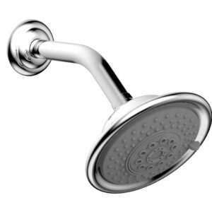 Phylrich Traditional Multi-Function Shower Head – Polished Chrome
