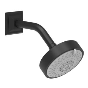 Phylrich Multifunction Shower Head K838 – Matte Black
