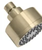 Huntington Brass Shower Head In PVD Satin Brass