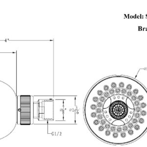 Dawn® Multifunction Showerhead, Brushed Nickel