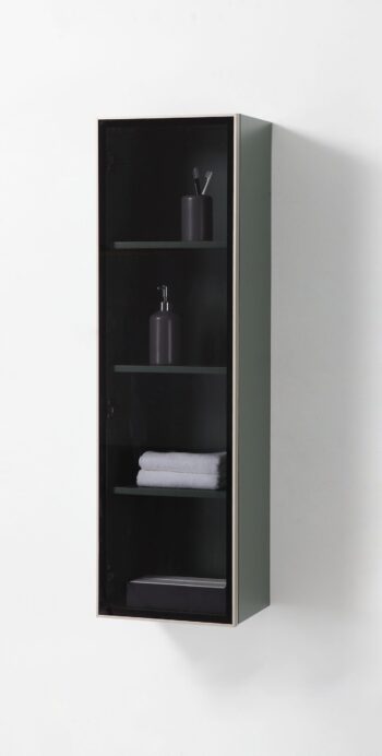 "13 Glass Wall Hung Side Cabinet In Forest Green - Image 3