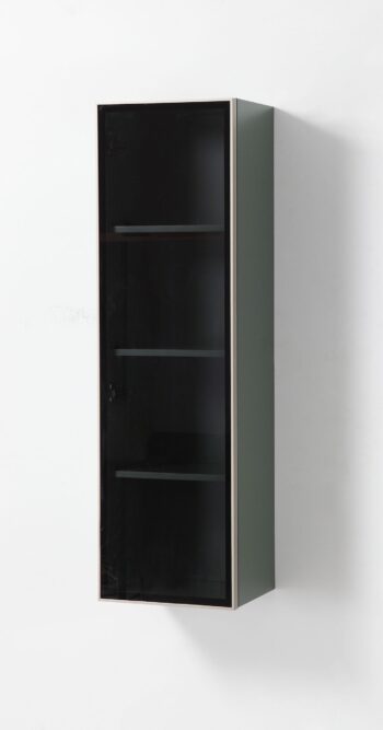 "13 Glass Wall Hung Side Cabinet In Forest Green - Image 6