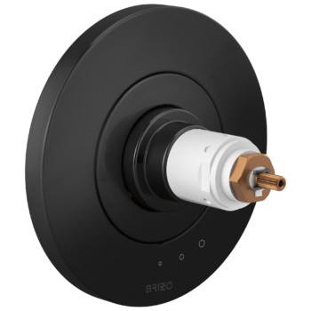 Brizo Litze®: Tempassure® Thermostatic Valve Only Trim - Less Handles In Matte Black
