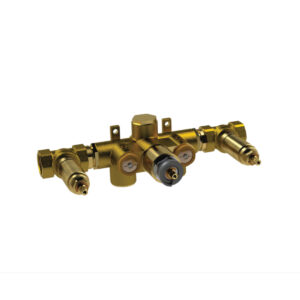 Isenberg 3/4″ Thermostatic Valve – 2 Outputs