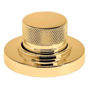Waterstone Industrial Air Switch – Polished Brass
