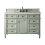 Brittany 48" Single Vanity, Sage Green