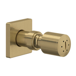 ROHL Single Function Body Spray In Antique Gold