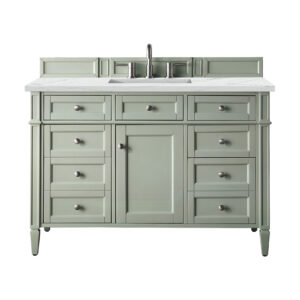 Brittany 48" Single Vanity, Sage Green