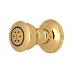 ROHL 2-Function Body Spray In Italian Brass
