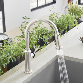 Blanco Empressa High Arc Pull-Down Dual-Spray Kitchen Faucet 1.5 GPM - Polished Nickel - Image 2